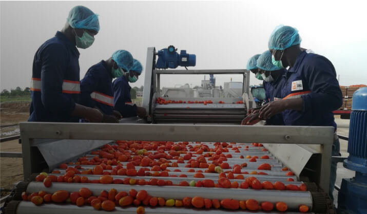 Food Processing