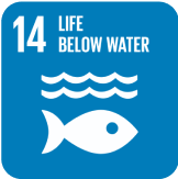 sdg